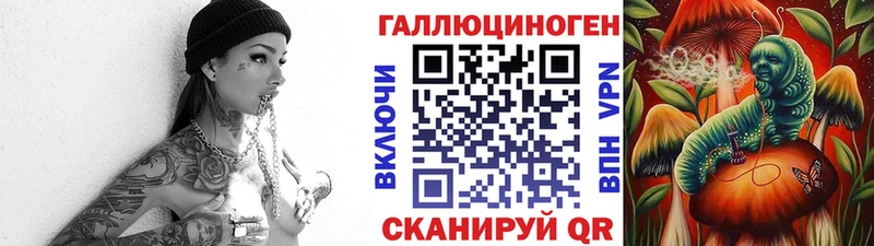 Купить  Нижнекамск  Псилоцибиновые грибы Cubensis 